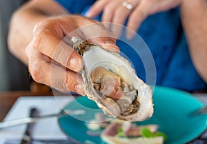 Close-up a hand holding raw oyster restaurant fresh seafood appertize photo