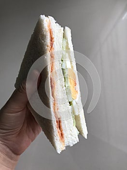 close up the hand holding sandwich