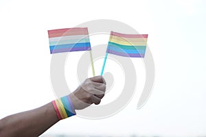 Close up hand holds rainbow colors flags. Concept, Lgbtq+ celebration in pride month,