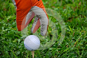 Close-up hand with orange glove and white golf ball on tee, on green grass, horizontally