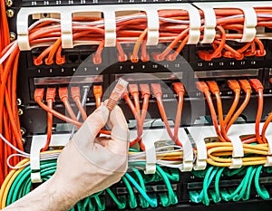 Close up of hand with red network cable and cables connected to switch