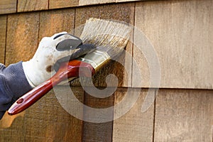 Close-up of hand wearing protective work gloves with brush paintbrush applying stain to cedar wood shingles exterior siding. Home photo