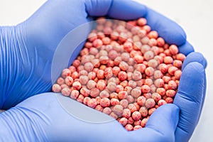 Close-up of a handful in the hands in the form of a heart etched soybean seeds