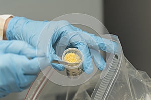 Close-up of hands with blue nitril gloves holding a metal spoon, filling a plastic test tube with milled sample.