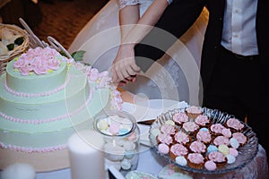 Close-up Hands of the bride and groom cut the wedding cake. Concept of candy shop