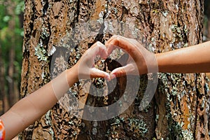 Close up of hands of child and mother forming a heart shape on a tree trunk. A family of environmentalists making heart-shaped