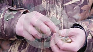 Close up of hands doing quality check on fresh collected helix lucorum snails from farm