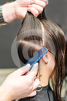 Close up hands of hairdresser are combing female hair with comb.