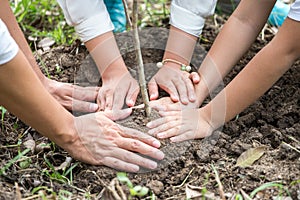 close up hands of happy asian Family, parents and their children plant sapling tree together in park . father mother and son,boy