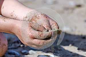 Close up Hands of a Happy Kid Discovering Rocks on the Sandy Beach. Playing with Sand and Pebbles by the Sea