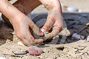 Close up Hands of a Happy Kid Playing with Sand and Pebbles on the Beach. Child Feels the Touch of the Sandy Ground Under the Sun