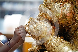 Close-up Hands holding a bowl of Covered with gold Legend of Rahu in the Songkran tradition. Hands of thai people pouring water