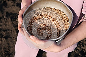 Close up on hands holding old metal bowl full of wheats on a background of black earth. The concept of harvest, sowing