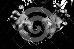 Hands of the prisoners. photo