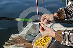Close up of hands setting corn as bait on fishing hook. Man is holding fishing rod and line with sinkers. He is working on boat