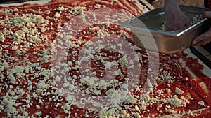 Close-up hands of unrecognizable man sprinkle cheese on dough for pizza with tomato paste on background of sun rays. Man