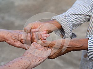 Close-up of a handshake between senior women while standing in a garden. Concept of aged people and relationship