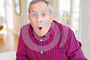 Close up of handsome senior man at home afraid and shocked with surprise expression, fear and excited face