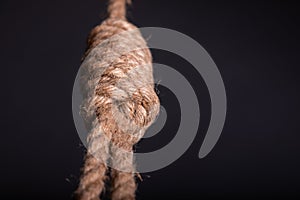 Close-up of a hang noose rope on grey background in studio