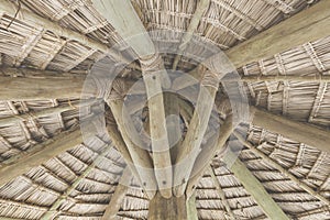 Close-up of hanging edge of thatched umbrellas on beach
