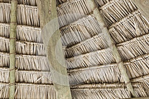 Close-up of hanging edge of thatched umbrellas on beach