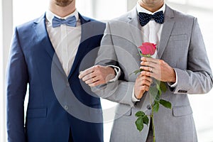 Close up of happy male gay couple holding hands