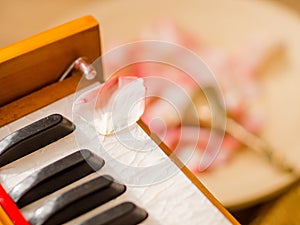 Close up of a harmonium with bells and petals