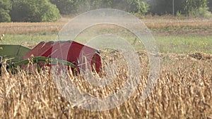 Close up harvester thresh grain crops in farm at summer. 4K