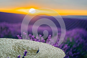 Close-up of a hat on lavender flowers on a sunset background. Love in the lavender concept