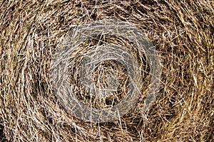 Close up of a hay bale