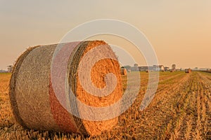 Close-up of a hay cylindrical bale in a farmland