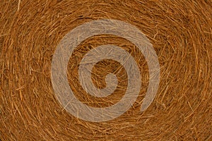 Close-up of a hay cylindrical bale in a farmland