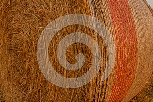 Close-up of a hay cylindrical bale in a field