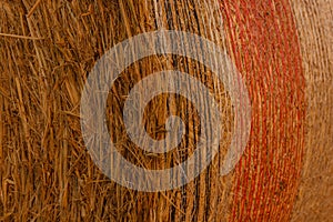 Close-up of a hay cylindrical bale in a field