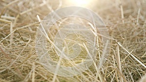 Close-up of hay stack. Food for farm animals for the winter.