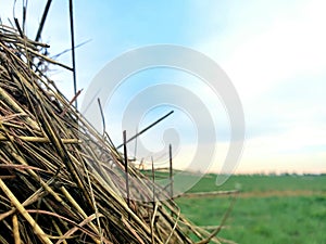 Close up of haybale in an open field