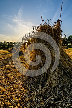 Close-Up of a Haystack at Dusk in the Countryside