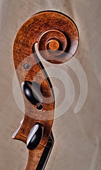 Close up of the head of cello