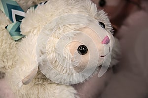 Close-up head of the cutest ever cuddly little soft focus toy lamb with bright pink nose and bright curious eyes