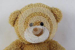 A close up head of an very ols teddy bear