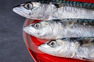 Close-up of the heads of three mackerels on a red plate and dark background horizontally with dark light