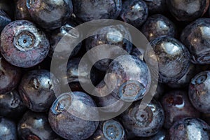 Close up of heap of fresh bilberries