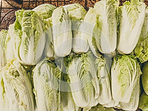 Close-up heap, pile of raw cabbage on a local asia farmers market. Cooking and healthy food concept, vitamins for strong