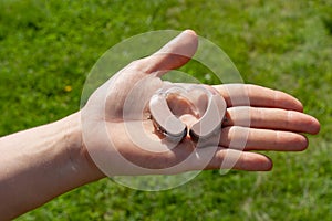 Close up of hearing aids arranged in heart shape on hand