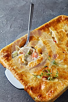 Close-up of hearty Chicken Pot Pie