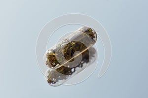 Close up of herbal pill, capsule, drug isolated over light background. Alternative medicine, treatment concept