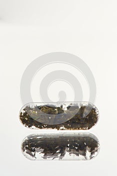 Close up of herbal pill, capsule, drug isolated over white background. Alternative medicine, treatment concept