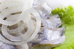 Close-up of herring and onion