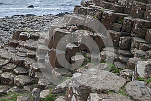 Close-up of hexagonal basalt columns at Giant\'s Causeway, Ireland photo