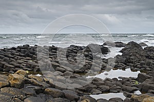 Close-up of hexagonal basalt columns at Giant\'s Causeway, Ireland photo